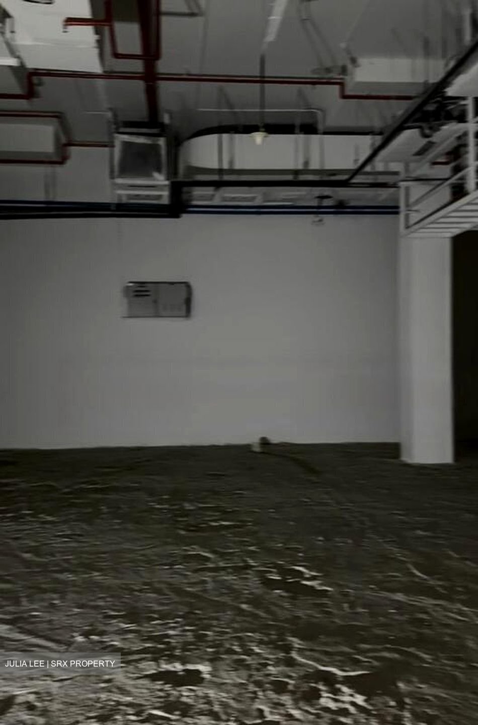 PS100 (D2), Retail #457290071